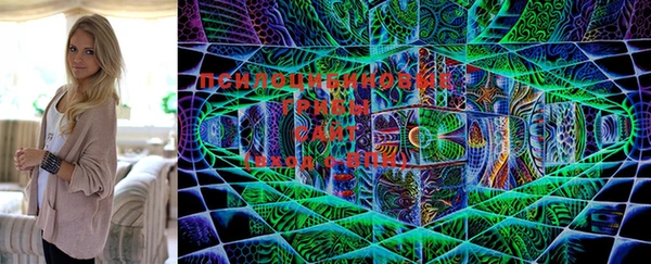 прущая мука Новозыбков