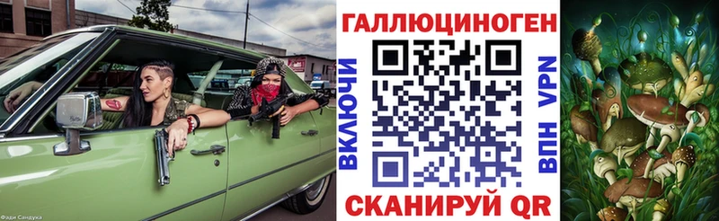 kraken ONION Морозовск Галлюциногенные грибы Psilocybine cubensis