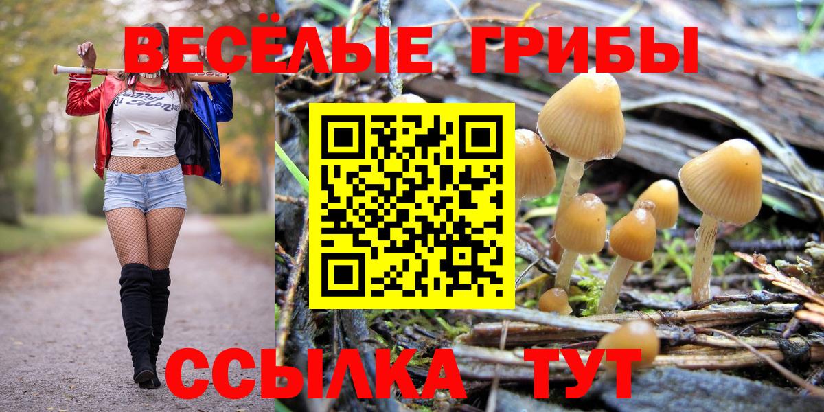Псилоцибиновые грибы Psilocybine cubensis  Псилоцибиновые грибы мухоморы  закладки  Морозовск  Вход с VPN 