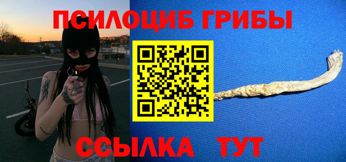 Псилоцибиновые грибы прущие грибы Морозовск